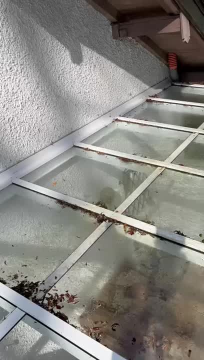 cleaner